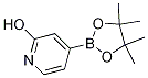 2-Hydroxypyridine-4-boronic acid pinacol ester结构式