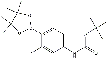 4-(Boc-Amino)-2-methylphenylboronic acid, pinacol ester结构式