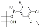 4-Chloro-5-ethoxy-2-fluorophenylboronic acid, pinacol ester结构式