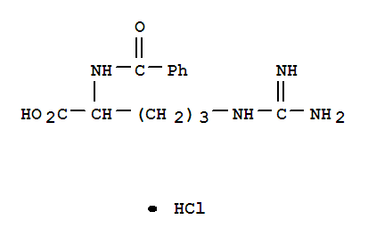 Structure of N-ALPHA-BENZOYL-DL-ARGININE HYDROCHLORIDE