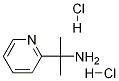 Structure of 2-(2-Pyridyl)-2-propylamine Dihydrochloride