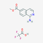 Cas Number: 1256787-46-8