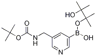 Structure of tert-butyl (5-(4,4,5,5-tetramethyl-1,3,2-dioxaborolan-2-yl)pyridin-3-yl)methylcarbamate