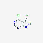 Structure of 1H-Pyrazolo[3,4-d]pyrimidin-4-amine, N-(1,1-dimethylethyl)-3-(methylthio)-