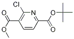 Structure of 2-tert-butyl 5-Methyl 6-chloropyridine-2,5-
dicarboxylate