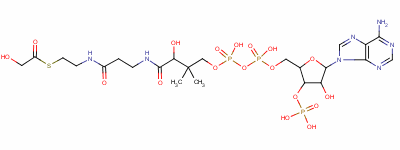 Structure of glycoyl-coenzyme A
