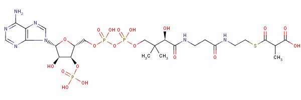 Structure of methylmalonyl-coenzyme A