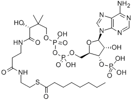 Structure of N-OCTANOYL COENZYME A (C8:0)