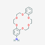Structure of 4-AMINODIBENZO-18-CROWN-6