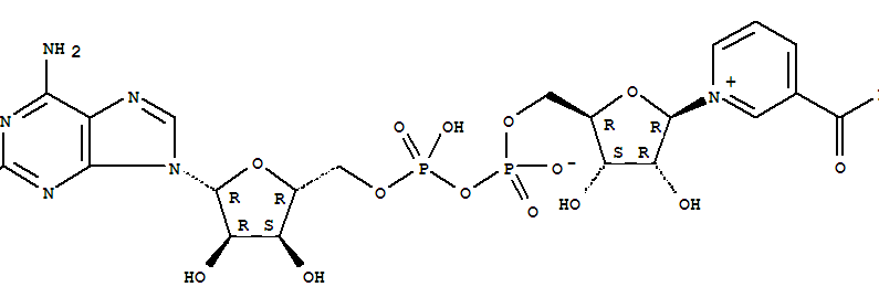 Structure of nicotinamide 2-azidoadenine dinucleotide