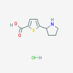 Structure of 5-(2-pyrrolidinyl)-2-thiophenecarboxylic Acid Hydrochloride (1:1)