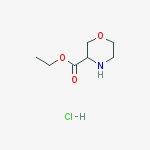 Structure of Ethyl morpholine-3-carboxylate hydrochloride