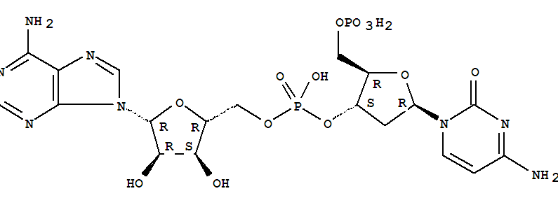 Structure of 5-phospho-2-deoxyribocytidylylriboadenosine