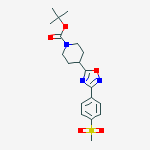 Structure of 3-[4-(Methylsulfonyl)phenyl]-5-(1-Boc-4-piperidyl)-1,2,4-oxadiazole
