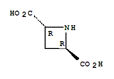 Structure of azetidine-2,4-dicarboxylic acid