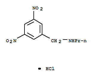 Structure of 3,5-DINITROBENZOYL-N-(N-PROPYL)AMINE HYDROCHLORIDE