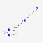 Biotinyl Cystamine结构式