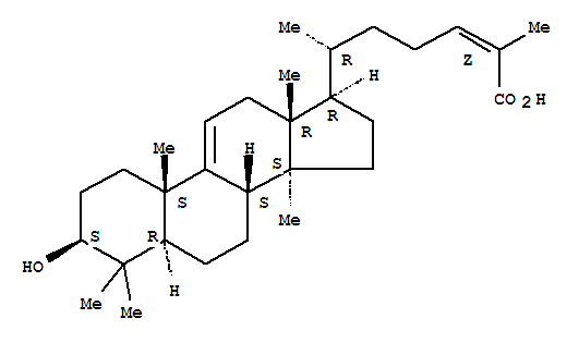 Structure of 3-Hydroxylast-9(11),24-dien-26-oic acid