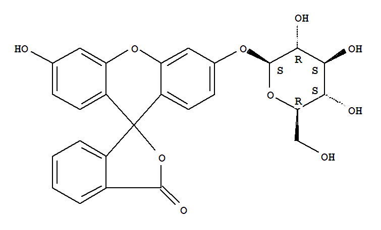Structure of FLUORESCEIN MONO-BETA-D-GALACTOPYRANOSIDE