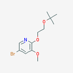 Structure of 5-broMo-2-(2-tert-butoxyethoxy)-3-Methoxypyridine