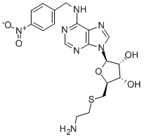Structure of SAENTA
