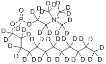 Structure of DODECYLPHOSPHORYLCHOLINE-D38