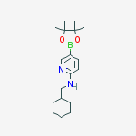 Chemical structure of N-(Cyclohexylmethyl)-5-(4,4,5,5-tetramethyl-1,3,2-dioxaborolan-2-yl)pyridin-2-amine