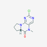 Structure of (S)-2-CHLORO-5-METHYL-6A,7,8,9-TETRAHYDROPYRROLO[2,1-H]PTERIDIN-6(5H)-ONE