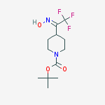 Structure of tert-Butyl 4-(2,2,2-Trifluoro-1-(hydroxyimino)-ethyl)piperidine-1-carboxylate