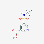 Structure of B-[5-[[(1,1-dimethylethyl)amino]sulfonyl]-3-pyridinyl]Boronic acid