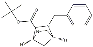 Structure of (1S,4S)-tert-Butyl 5-benzyl-2,5-diazabicyclo[2.2.1]heptane-2-carboxylate