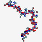Structure of (LEU31,PRO34)-NEUROPEPTIDE Y (HUMAN, RAT)