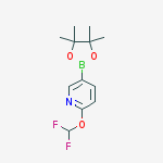 2-(difluoromethoxy)-5-(4,4,5,5-tetramethyl-1,3,2-dioxaborolan-2-yl)pyridine结构式