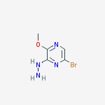 (6-bromo-3-methoxypyrazin-2-yl)hydrazine结构式