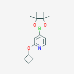 Structure of 2-Cyclobutoxy-4-(4,4,5,5-tetramethyl-1,3,2-dioxaborolan-2-yl)pyridine