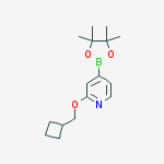 Structure of 2-(Cyclobutylmethoxy)-4-(4,4,5,5-tetramethyl-1,3,2-dioxaborolan-2-yl)pyridine