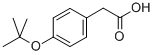 Structure of 4-TERT-BUTOXYPHENYLACETIC ACID