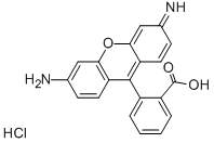 Structure of RHODAMINE 110