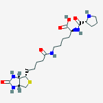 Structure of (2s)-6-[5-[(3as,4s,6ar)-2-oxo-1,3,3a,4,6,6a-hexahydrothieno[3,4-d]imidazol-4-yl]pentanoylamino]-2-[[(2r)-pyrrolidine-2-carbonyl]amino]hexanoic Acid