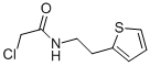 Structure of 2-CHLORO-N-(2-THIEN-2-YLETHYL)ACETAMIDE