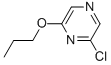 Structure of 2-Chloro-6-propoxypyrazine