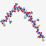 Structure of calcitonin gene-related peptide (19-37), t-butyl-Cys(18)-