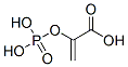 Structure of 2-dihydroxyphosphinoyloxyacrylic acid