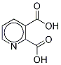 Structure of 2,3-Pyridinedicarboxylic Acid-d3