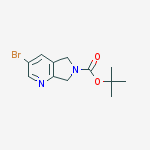 Structure of tert-butyl 3-bromo-5,7-dihydropyrrolo[3,4-b]pyridine-6-carboxylate
