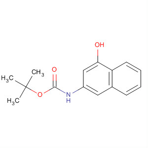 Carbamic acid, (4-hydroxy-2-naphthalenyl)-, 1,1-dimethylethyl ester结构式