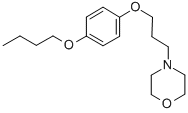 Structure of pramocaine