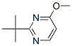 Structure of PYRIMIDINE,2-(TERT-BUTYL)-4-METHOXY-