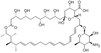 Structure of amphotericin A
