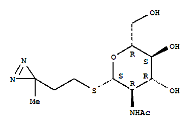 Structure of 3-azi-1-((2-acetamido-2-deoxy-1-glucopyranosyl)thio)butane